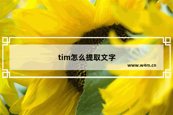 tim怎么提取文字