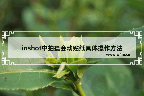 inshot中拍摄会动贴纸具体操作方法