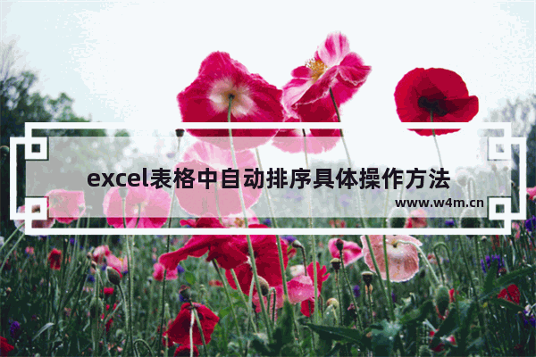 excel表格中自动排序具体操作方法