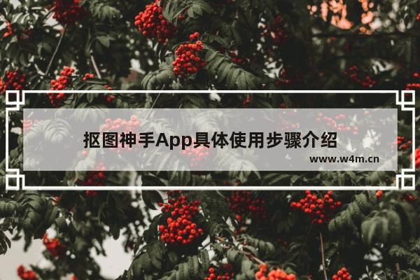 抠图神手App具体使用步骤介绍