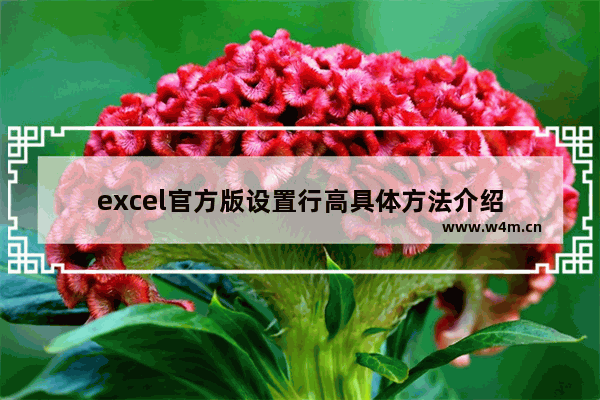 excel官方版设置行高具体方法介绍