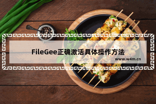 FileGee正确激活具体操作方法