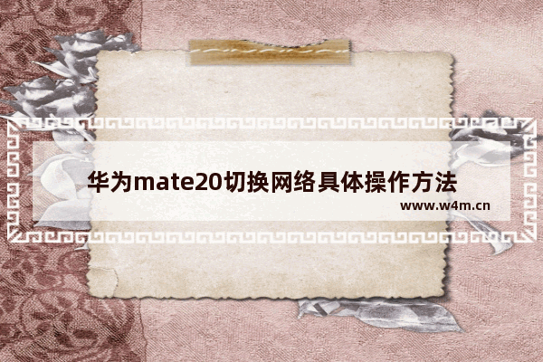 华为mate20切换网络具体操作方法