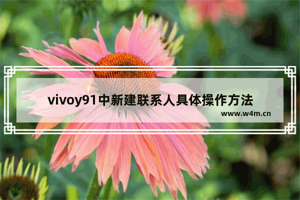 vivoy91中新建联系人具体操作方法