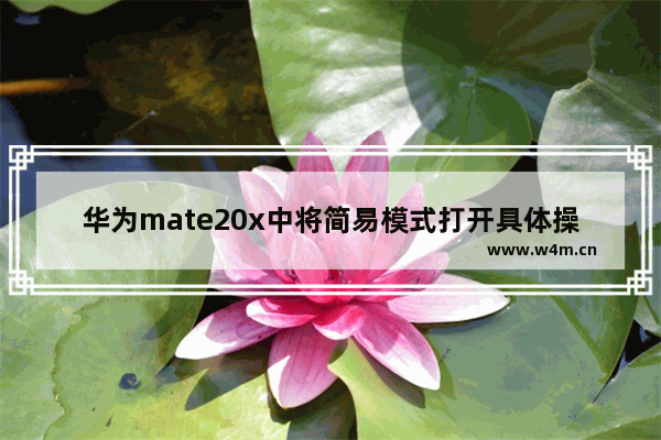 华为mate20x中将简易模式打开具体操作方法