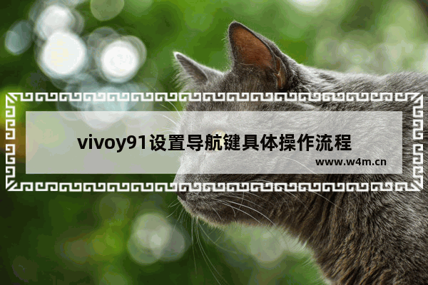 vivoy91设置导航键具体操作流程