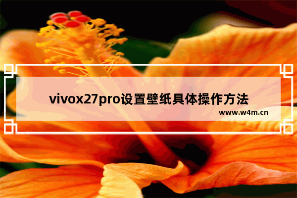 vivox27pro设置壁纸具体操作方法