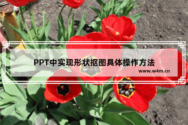 PPT中实现形状抠图具体操作方法