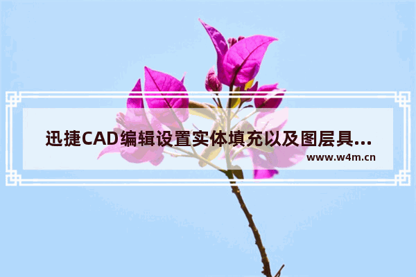 迅捷CAD编辑设置实体填充以及图层具体操作方法