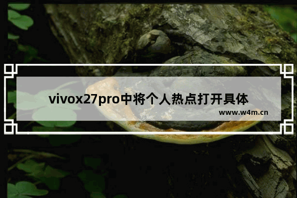 vivox27pro中将个人热点打开具体操作方法