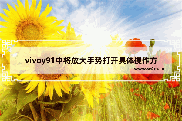 vivoy91中将放大手势打开具体操作方法