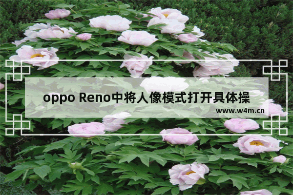 oppo Reno中将人像模式打开具体操作方法