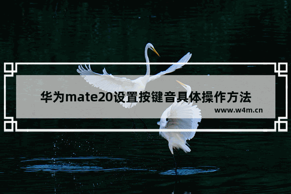 华为mate20设置按键音具体操作方法