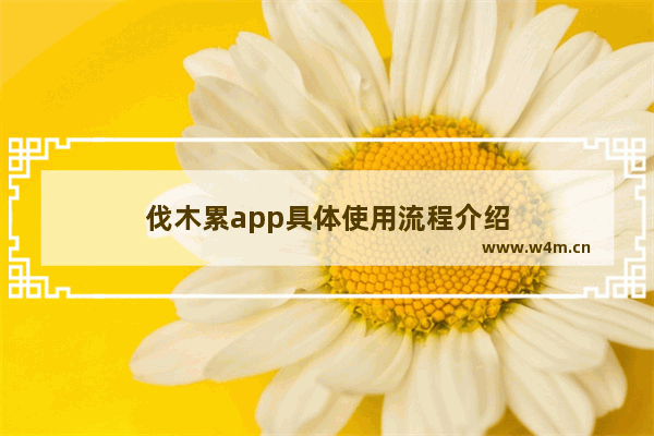 伐木累app具体使用流程介绍