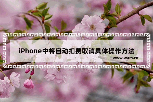 iPhone中将自动扣费取消具体操作方法