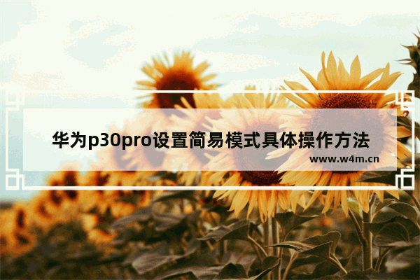 华为p30pro设置简易模式具体操作方法