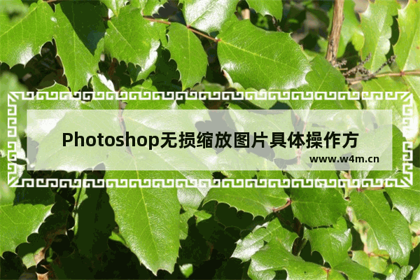 Photoshop无损缩放图片具体操作方法