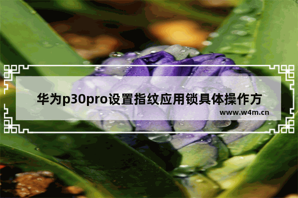 华为p30pro设置指纹应用锁具体操作方法