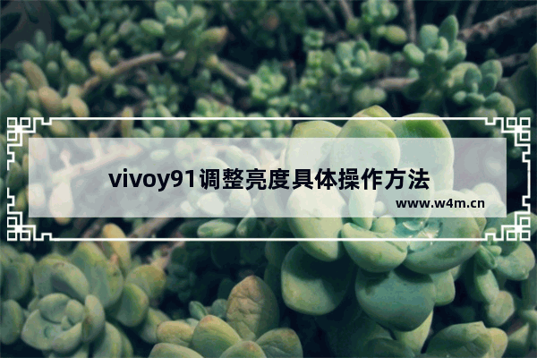 vivoy91调整亮度具体操作方法