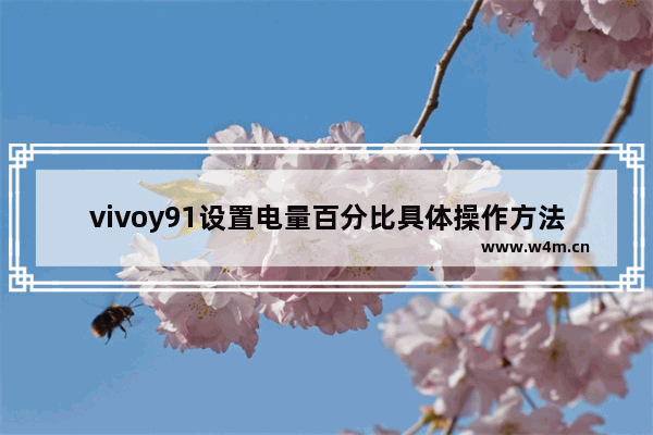 vivoy91设置电量百分比具体操作方法