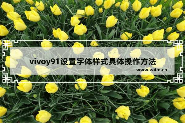 vivoy91设置字体样式具体操作方法