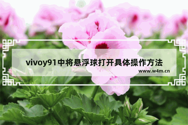 vivoy91中将悬浮球打开具体操作方法