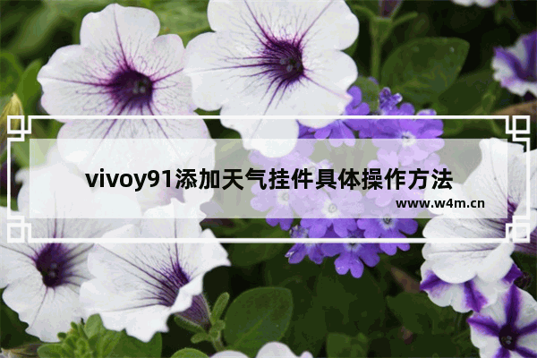 vivoy91添加天气挂件具体操作方法