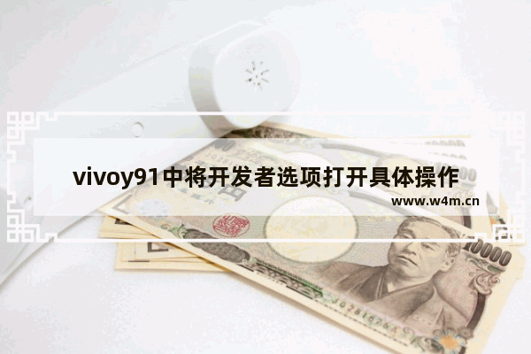 vivoy91中将开发者选项打开具体操作方法