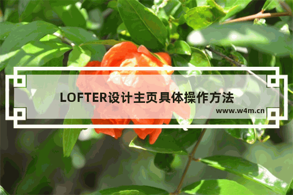 LOFTER设计主页具体操作方法