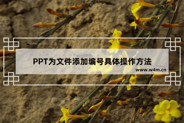 PPT为文件添加编号具体操作方法