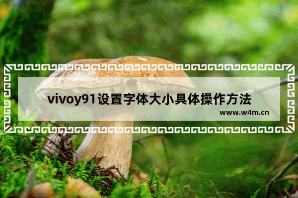 vivoy91设置字体大小具体操作方法