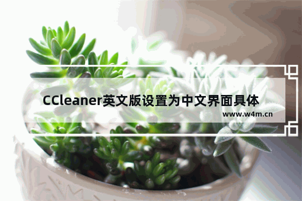 CCleaner英文版设置为中文界面具体操作方法