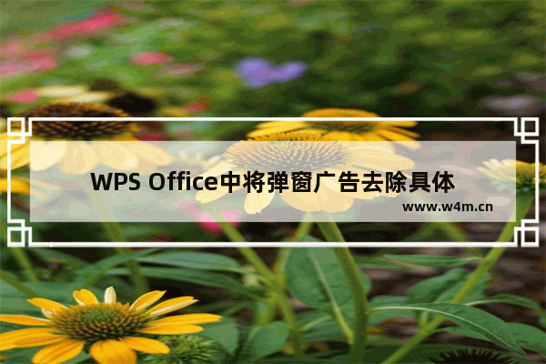 WPS Office中将弹窗广告去除具体操作方法