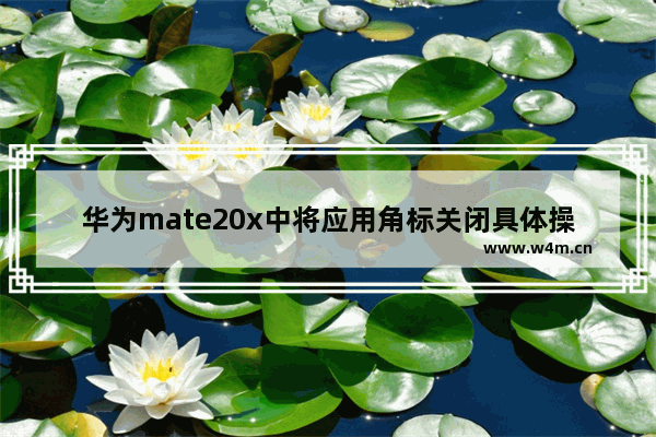 华为mate20x中将应用角标关闭具体操作方法