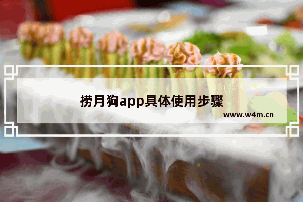 捞月狗app具体使用步骤