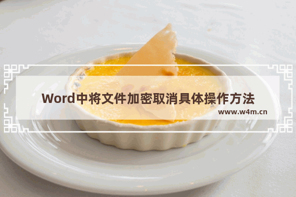 Word中将文件加密取消具体操作方法