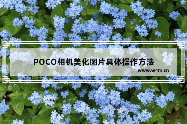 POCO相机美化图片具体操作方法