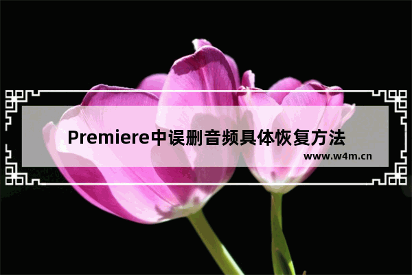 Premiere中误删音频具体恢复方法