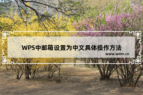 WPS中邮箱设置为中文具体操作方法