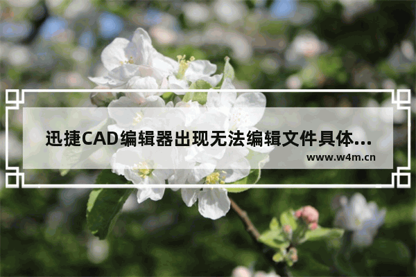 迅捷CAD编辑器出现无法编辑文件具体处理步骤