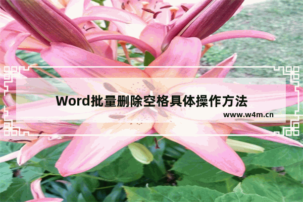 Word批量删除空格具体操作方法