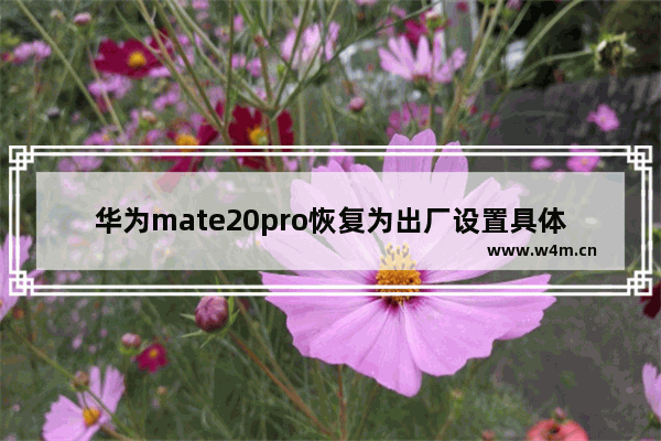 华为mate20pro恢复为出厂设置具体操作方法