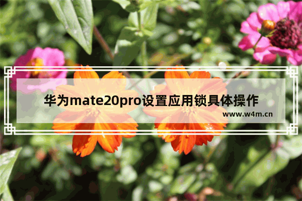 华为mate20pro设置应用锁具体操作方法