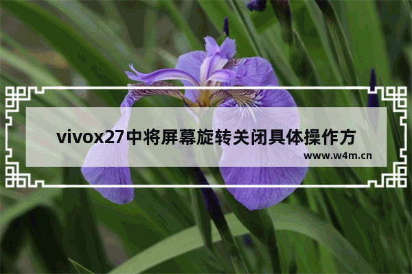 vivox27中将屏幕旋转关闭具体操作方法