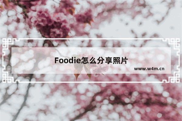 Foodie怎么分享照片