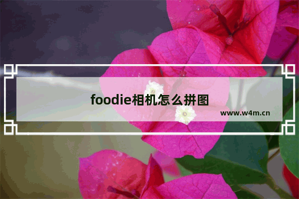 foodie相机怎么拼图