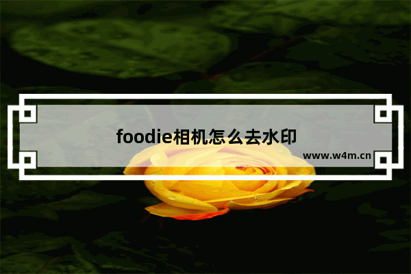 foodie相机怎么去水印