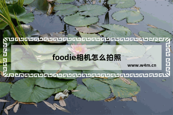 foodie相机怎么拍照