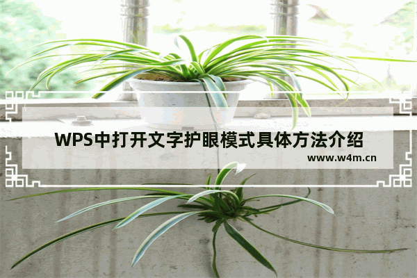 WPS中打开文字护眼模式具体方法介绍