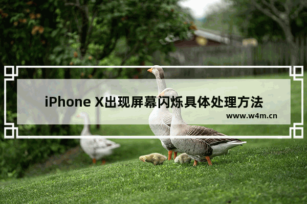 iPhone X出现屏幕闪烁具体处理方法